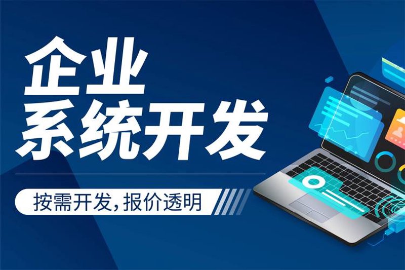 石家庄网站建设：推动城市数字化转型的新风向